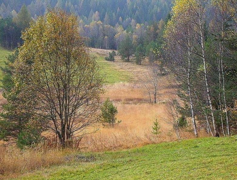 Riserva Naturale Pian Gembro